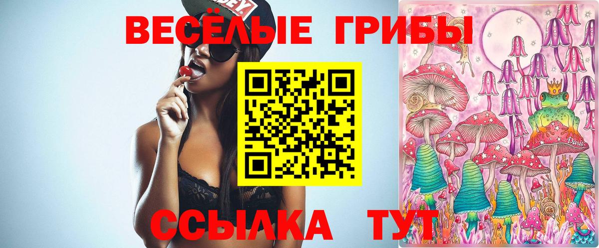 Псилоцибиновые грибы мицелий Азов