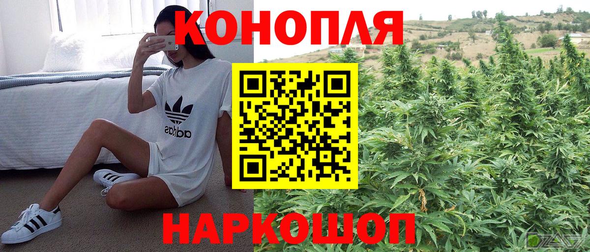 Бошки Шишки семена Азов